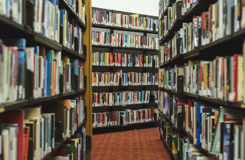 Câmara aprova inclusão da Bíblia no acervo de escolas e faculdades públicas