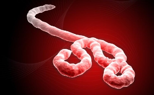Profissionais de saúde protestam no epicentro do surto de Ebola no Congo